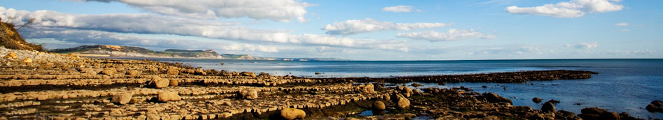 View along the Purbeck coast
