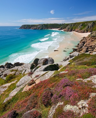 Porthcurno beach with heather and summer flowers in the foregrond