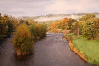 Autumnal colours along the River Tweed